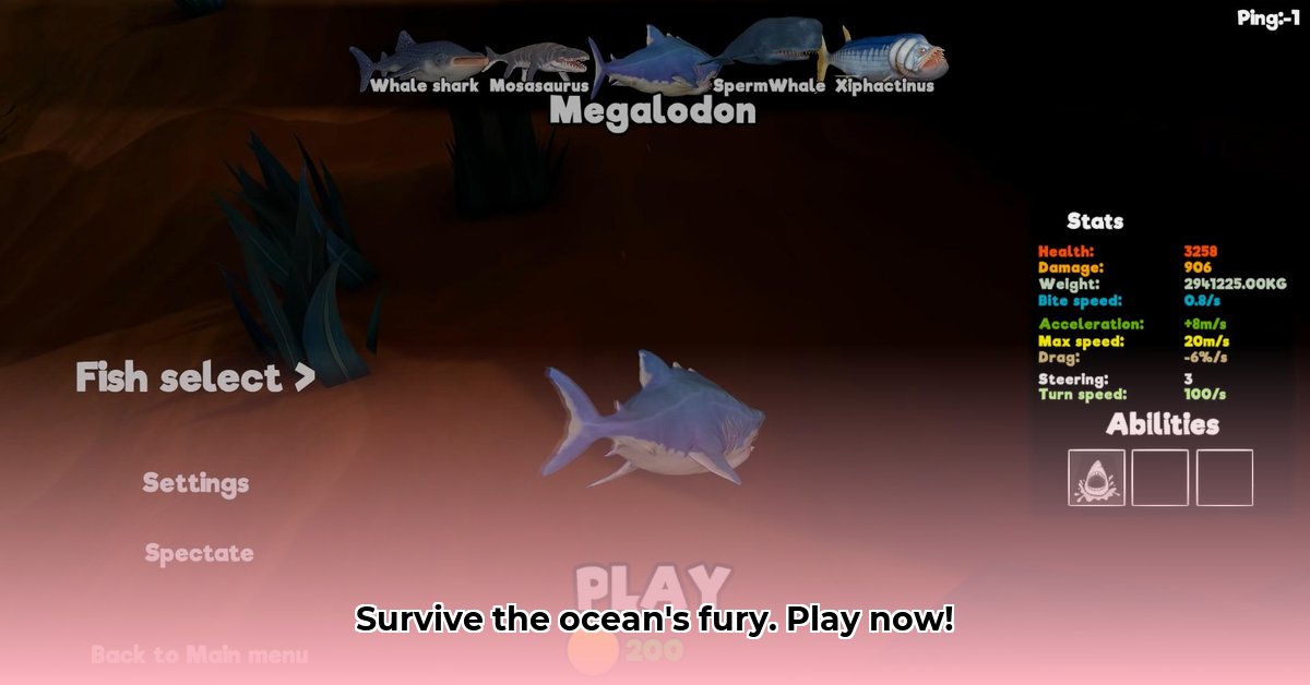 feed-and-fish-survivors